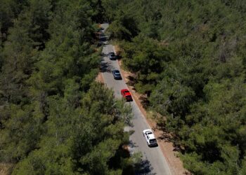 Hyundai IONIQ Ormanı Projesi ile 1 Milyon Ağaç Dikti