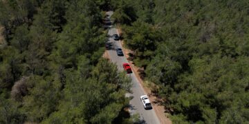 Hyundai IONIQ Ormanı Projesi ile 1 Milyon Ağaç Dikti