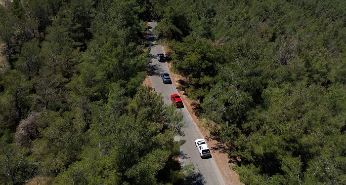 Hyundai IONIQ Ormanı Projesi ile 1 Milyon Ağaç Dikti